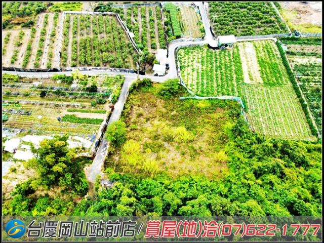 大社農地-7