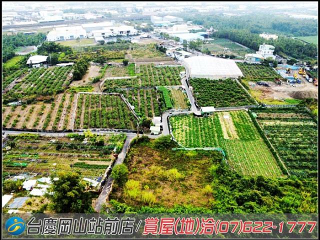 大社農地-8