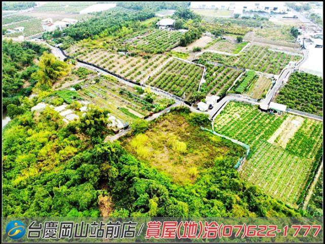 大社農地-9