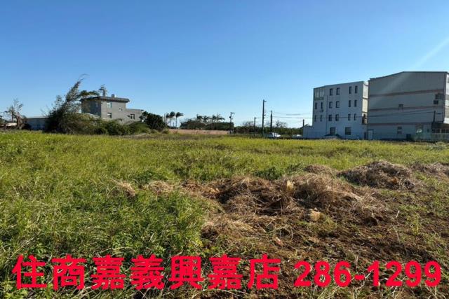 新豐農地-8