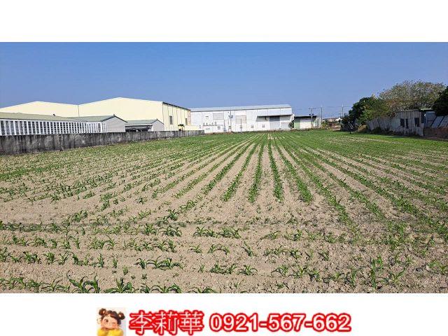 新市農地-8