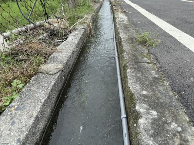 鹽埔農地-9