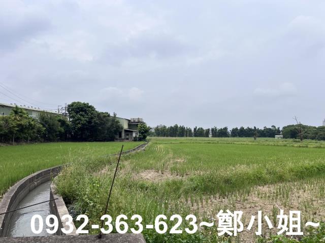 桃園區農地-3
