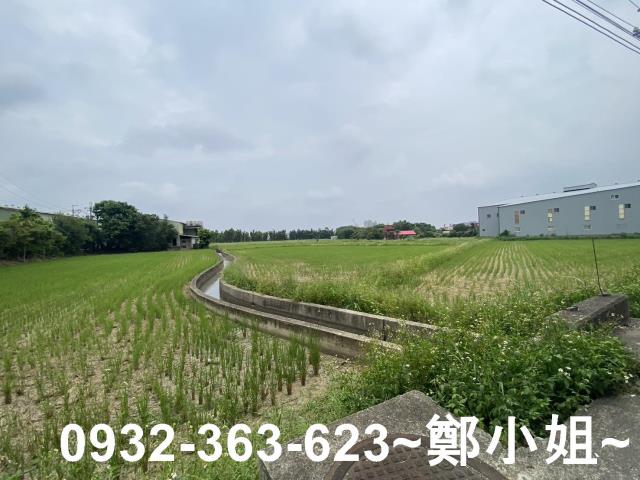 桃園區農地-4