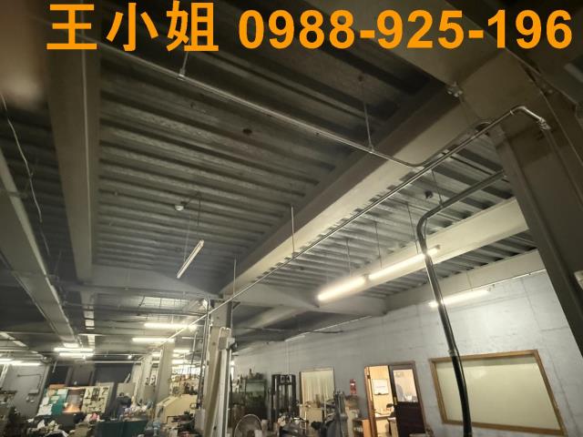 桃園觀音農地-9