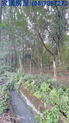 長治農地-4