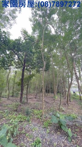 長治農地-5