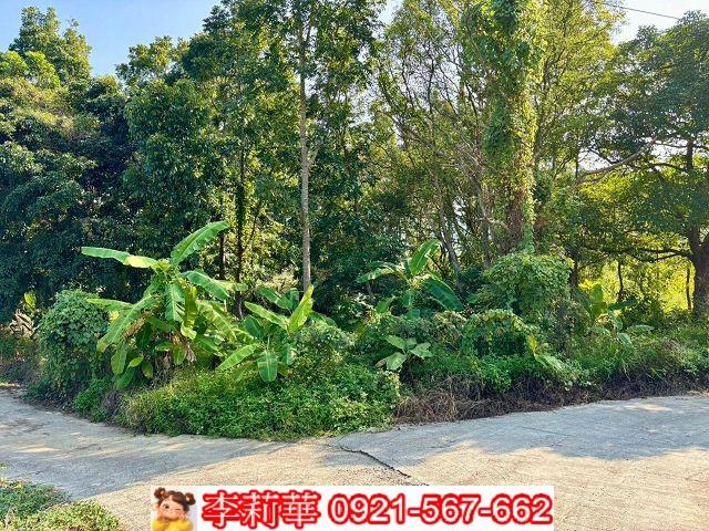 台南農地-3