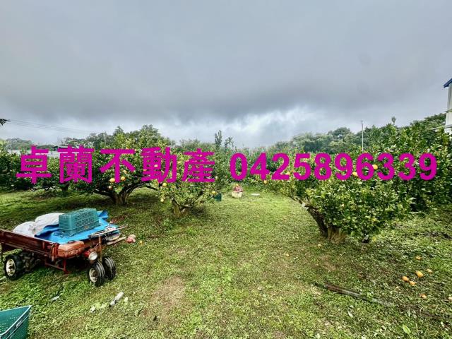 苗栗卓蘭農地-3