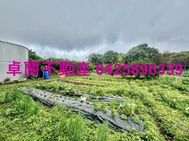 苗栗卓蘭農地-4