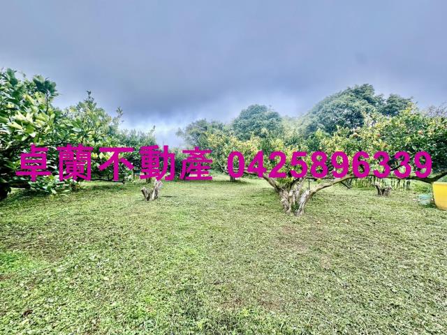 苗栗卓蘭農地-5