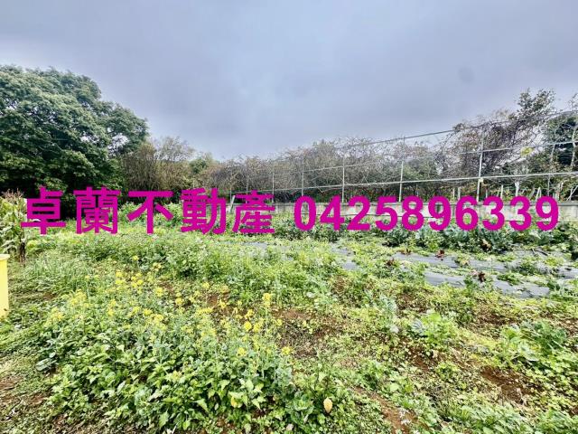 苗栗卓蘭農地-6