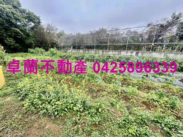 苗栗卓蘭農地-7