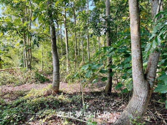 台南南化農地-8