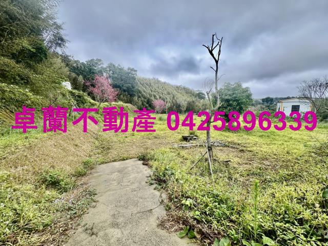 苗栗卓蘭農地-10