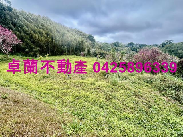 苗栗卓蘭農地-12