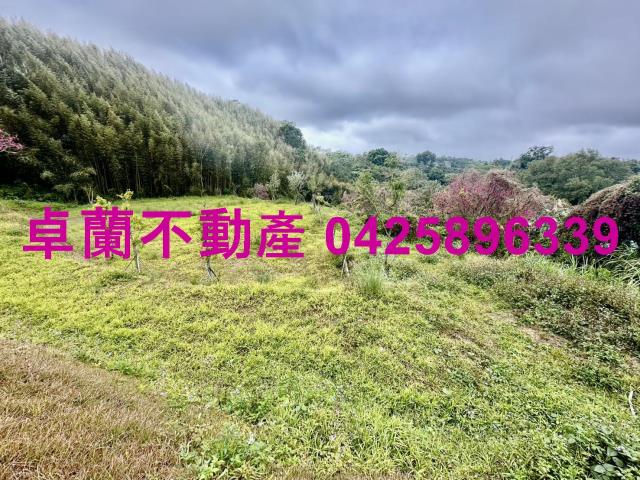苗栗卓蘭農地-13