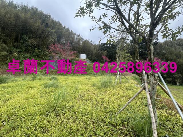 苗栗卓蘭農地-14