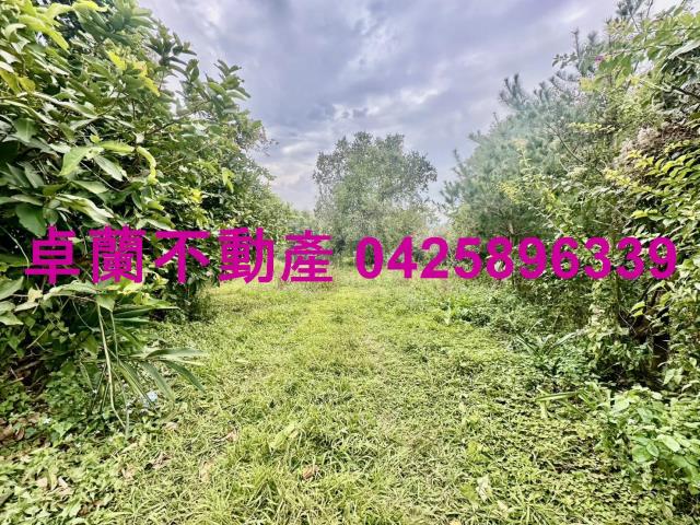 卓蘭農地-2