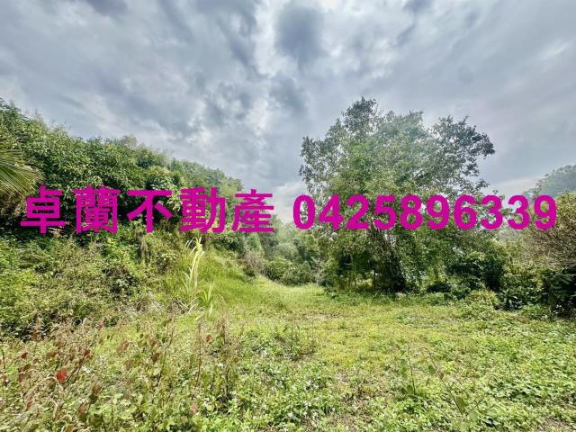 卓蘭農地-4
