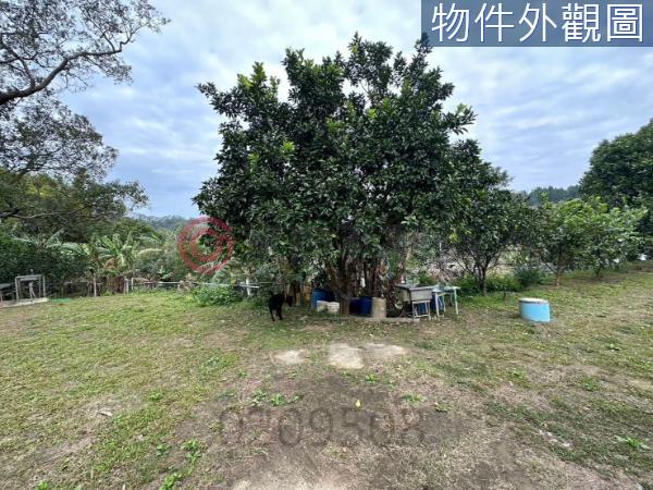 新竹竹東農地-4