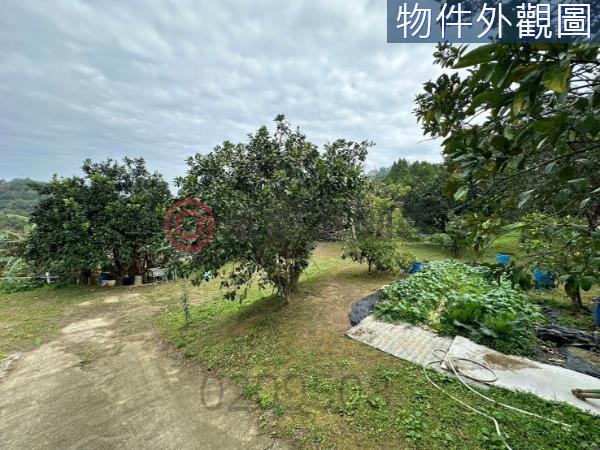 新竹竹東農地-7
