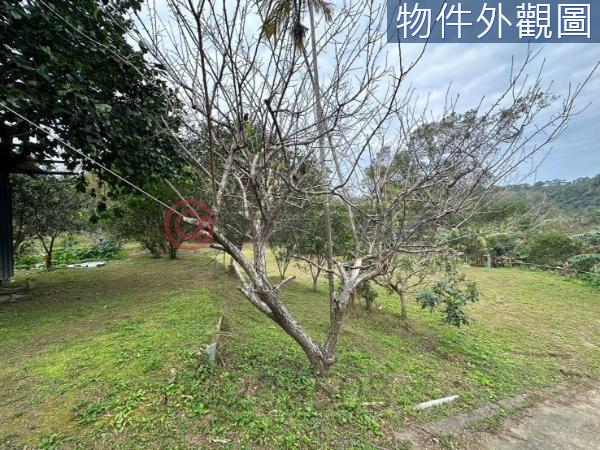新竹竹東農地-8