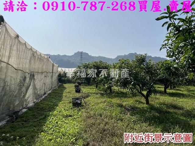 台南玉井農地-7