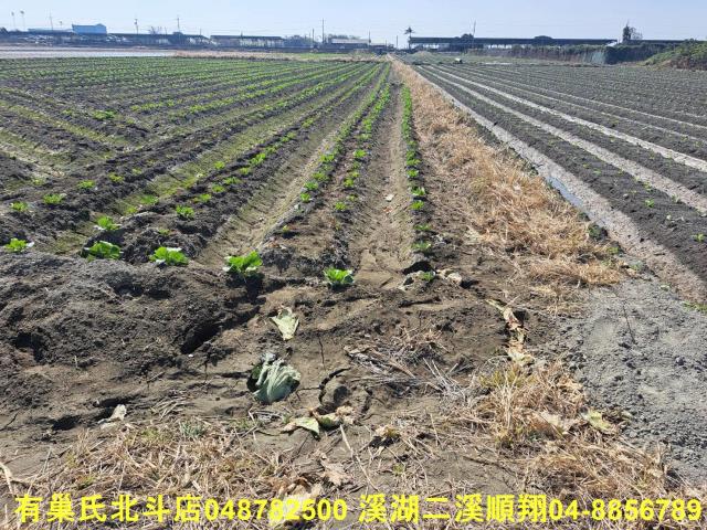 彰化二林農地-4