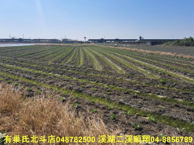 彰化二林農地-5