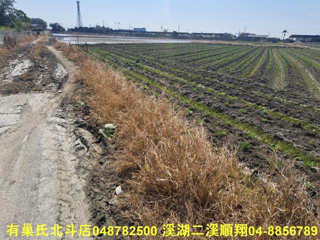 彰化二林農地-6