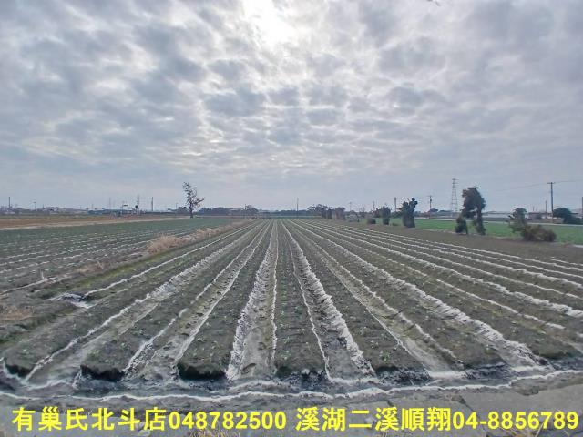 彰化二林農地-10