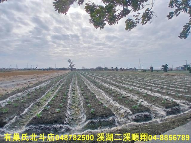 彰化二林農地-6