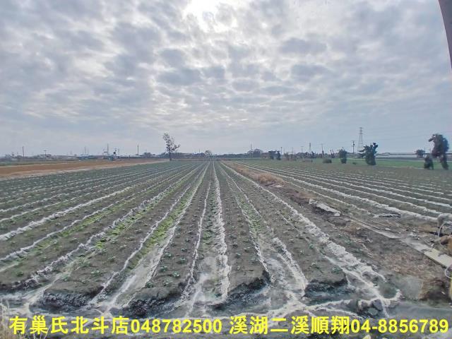 彰化二林農地-7
