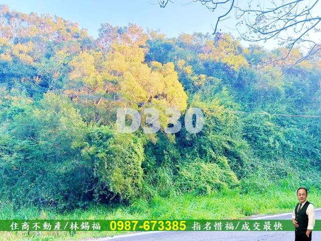 台中清水保護地-7