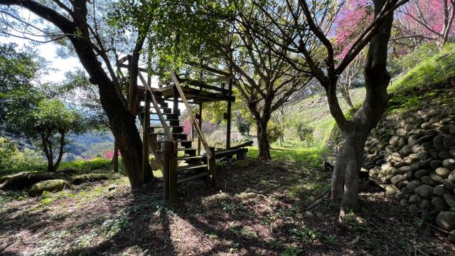芎林農地-14