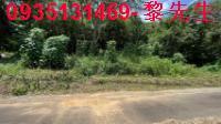 新埔農地-2