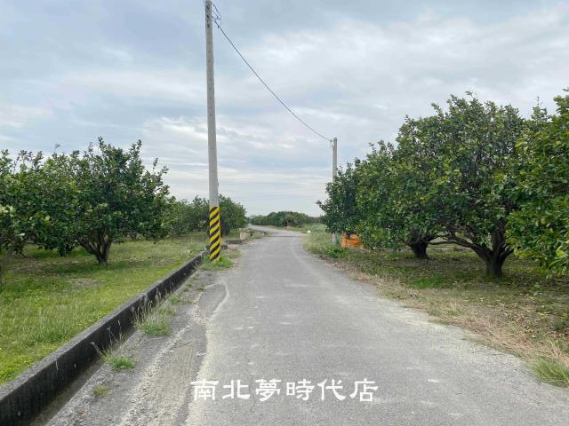 麻豆農地-8