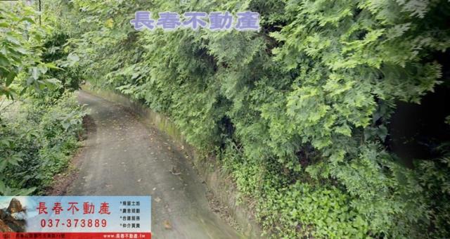 銅鑼農地-2