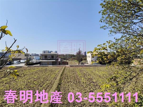 新埔農地-7