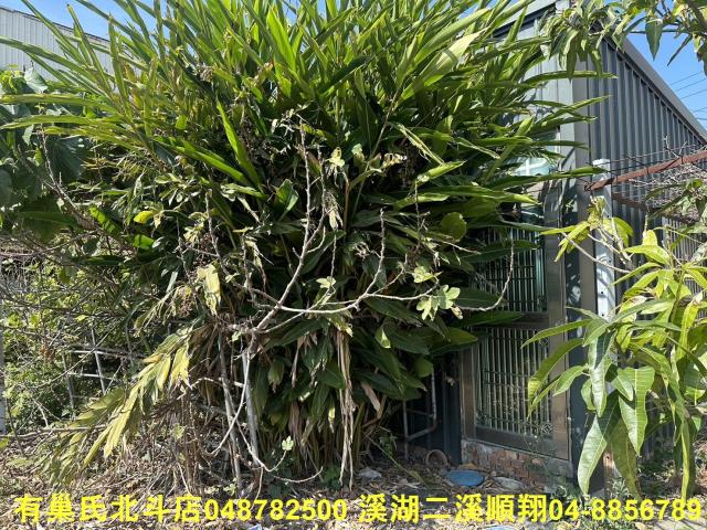 福興農地-5