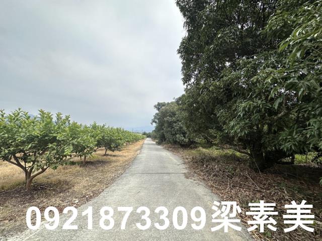 台南南化農地-10