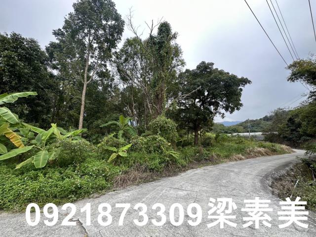 台南南化農地-12