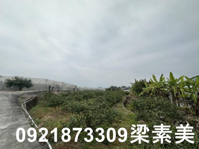 台南南化農地-3