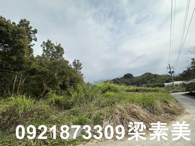 台南南化農地-5