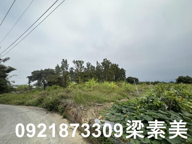 台南南化農地-6