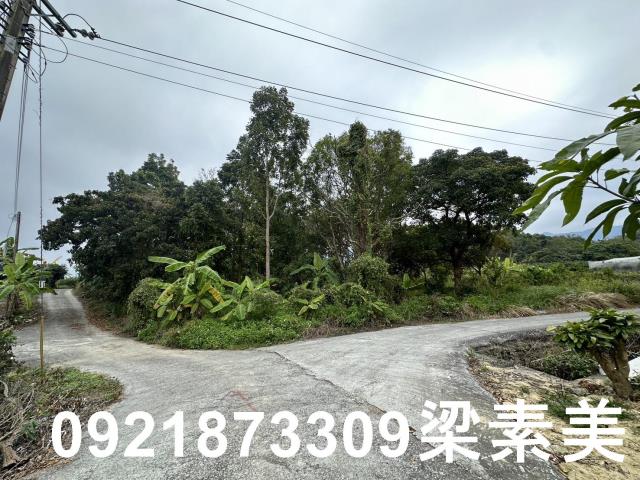 台南南化農地-8