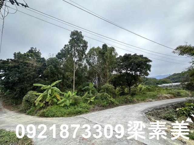 台南南化農地-9