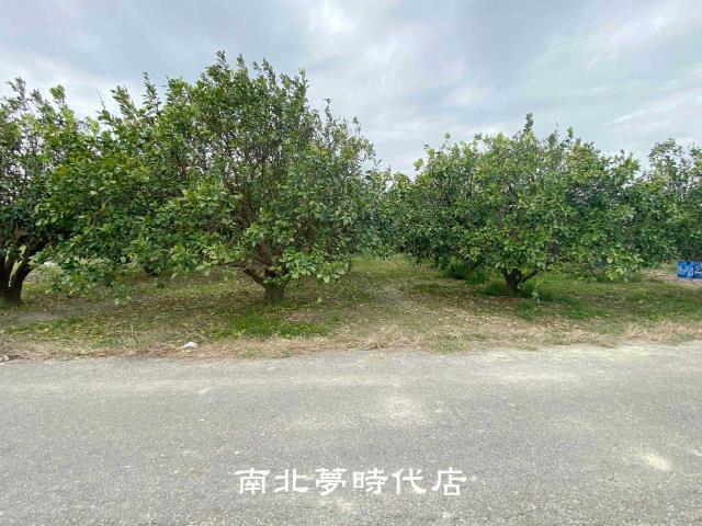 台南麻豆農地-4