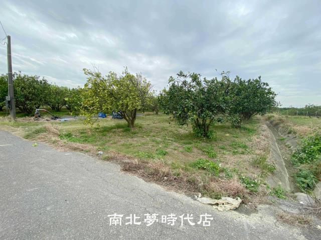 台南麻豆農地-6